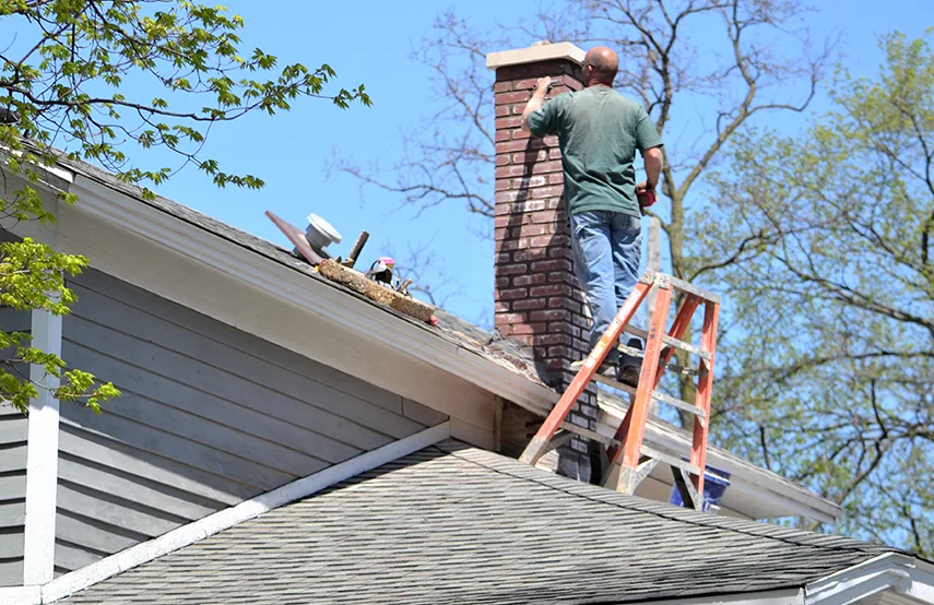 Chimney & Fireplace Inspections Services in Saginaw, MI